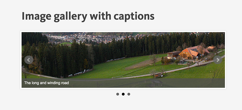 Image Gallery with Captions